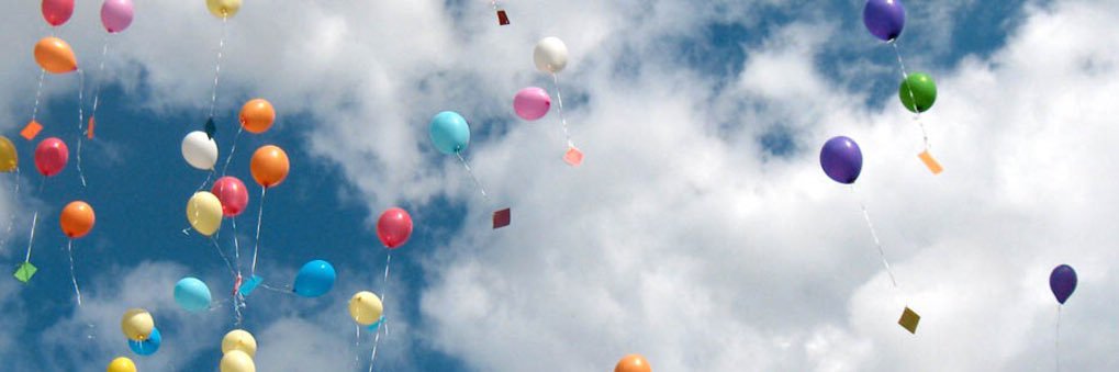 mrskrts's profile banner image