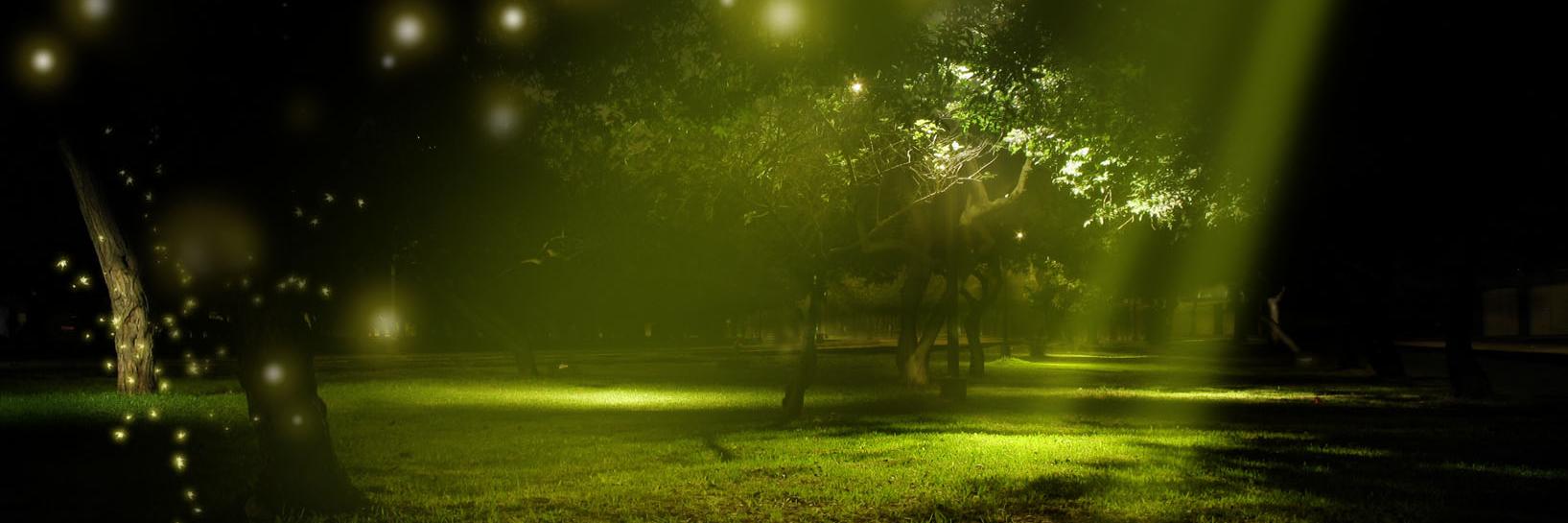 calledhorse's profile banner image