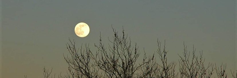 Bet_x's profile banner image