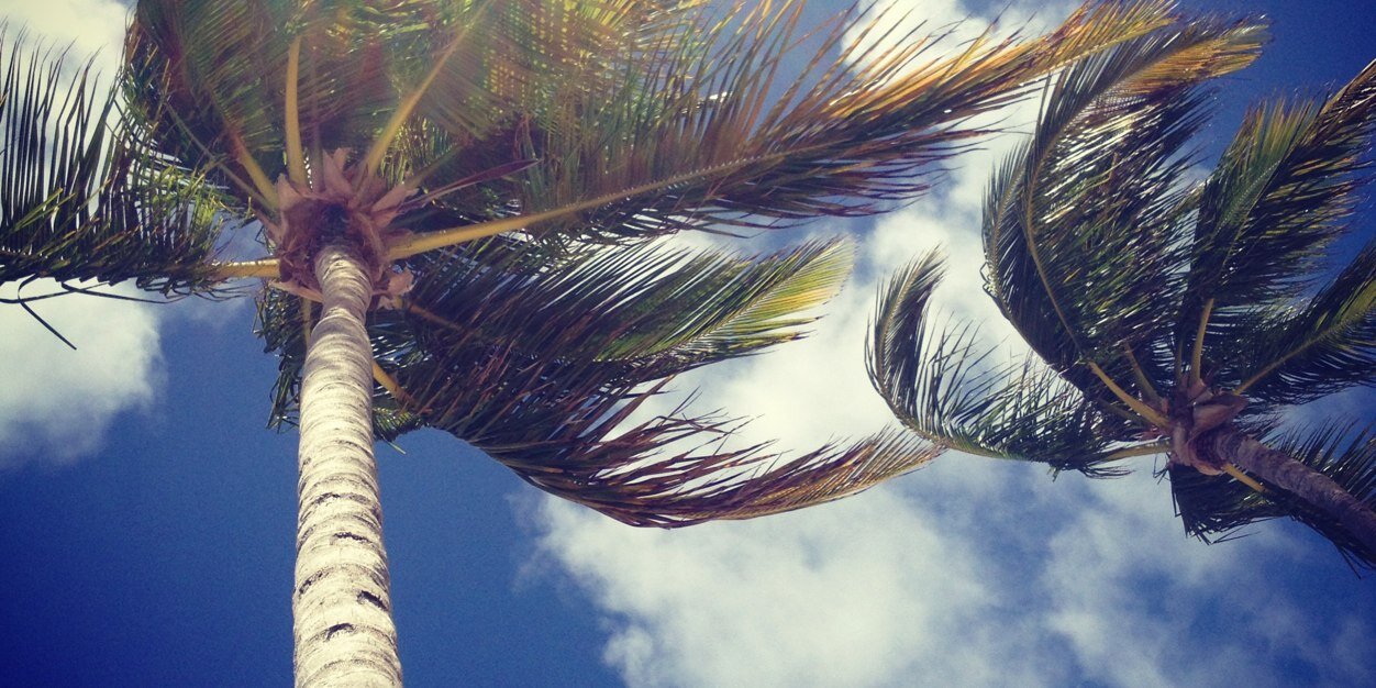 Brit_Alexandria's profile banner image
