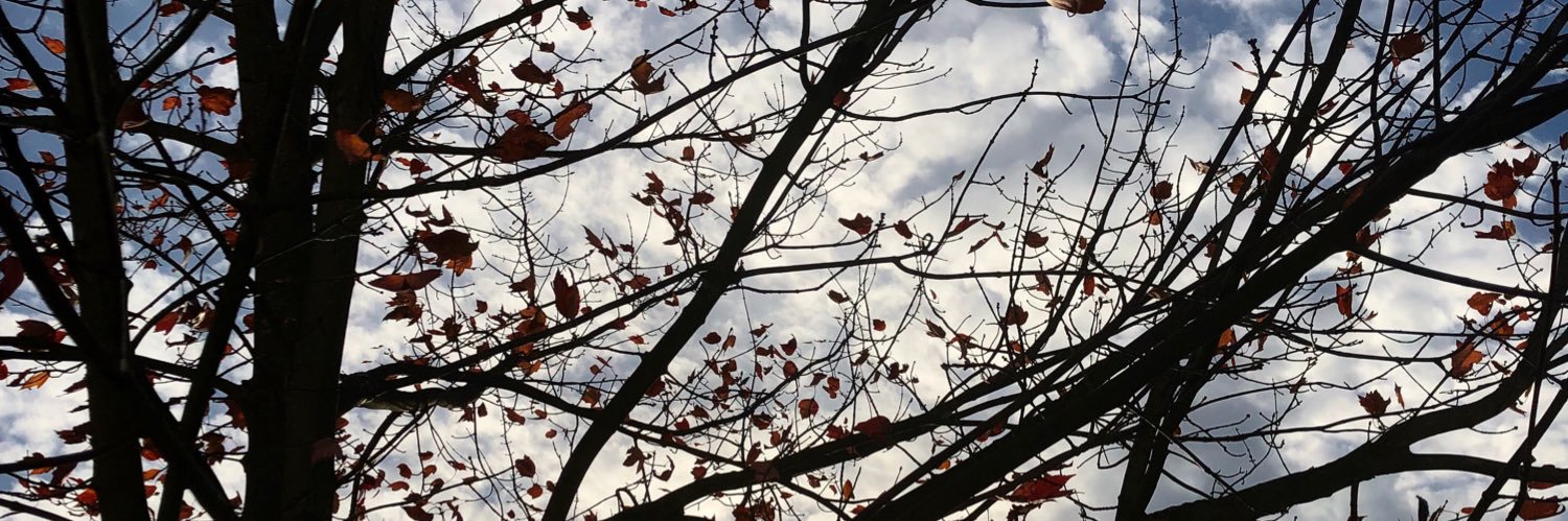 SeanOReilly41's profile banner image