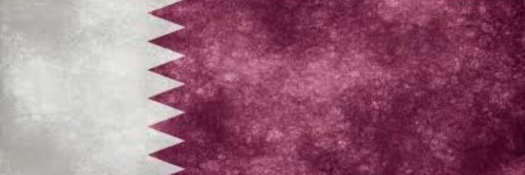 NIAlhammadi's profile banner image
