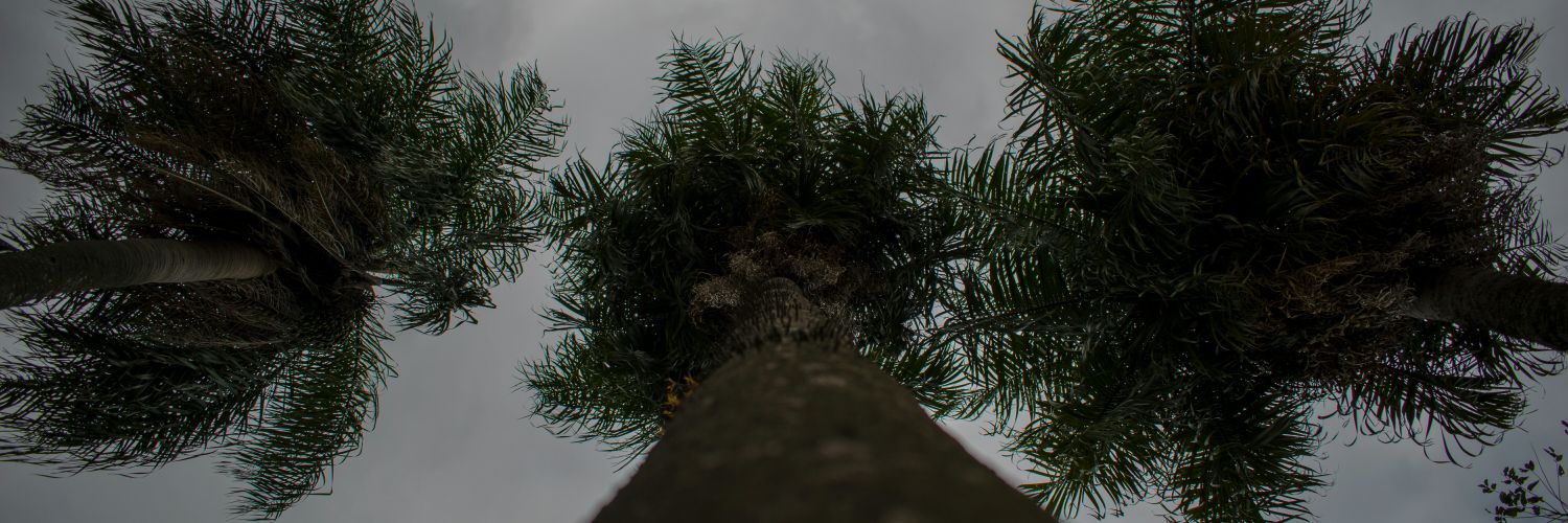 David91_jag's profile banner image