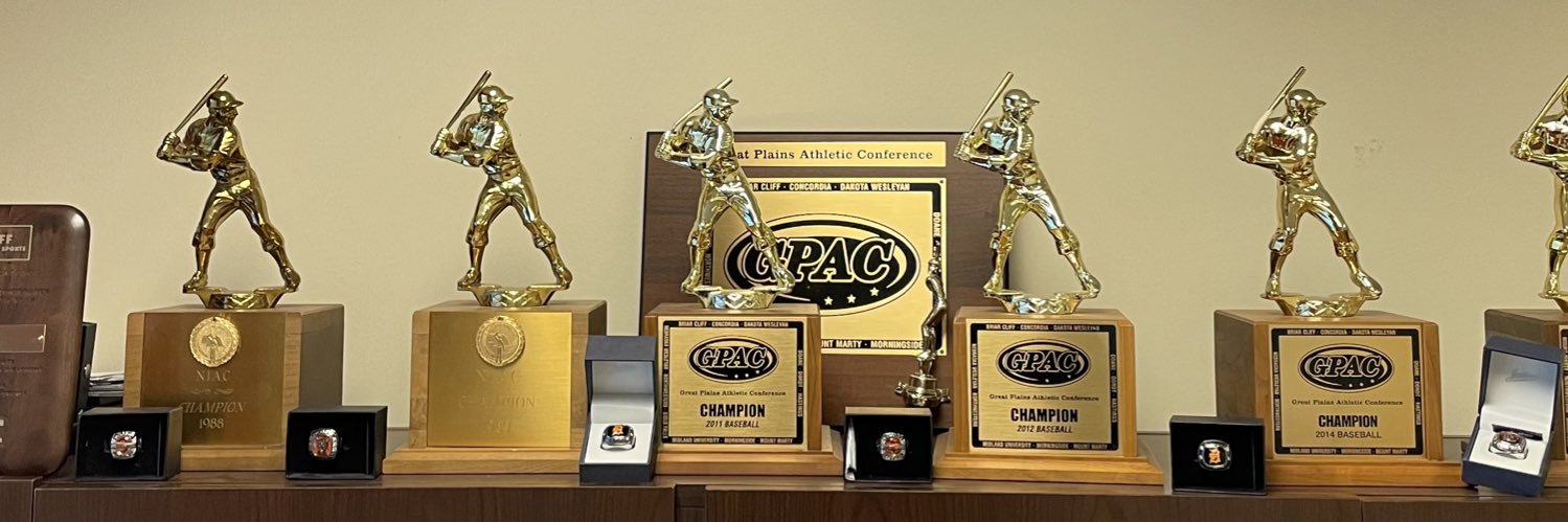 Doane Baseball banner