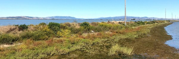 lauraetam Profile Banner