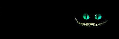 slvo__'s profile banner image