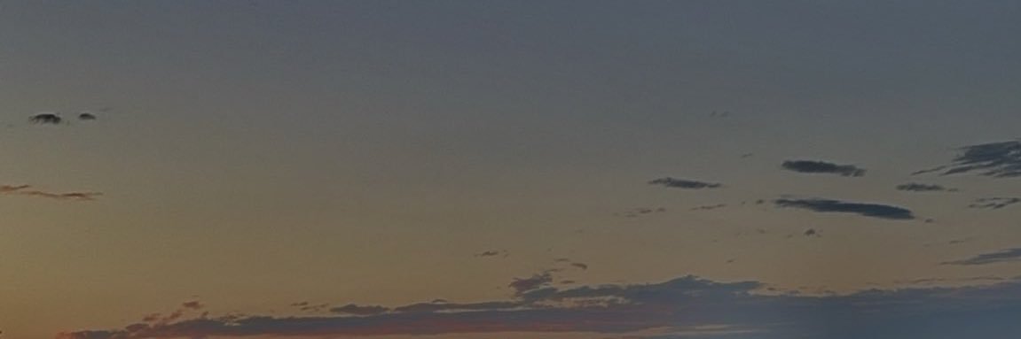 dyl banner