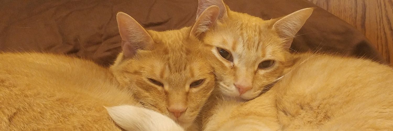 Sweetee5's profile banner image