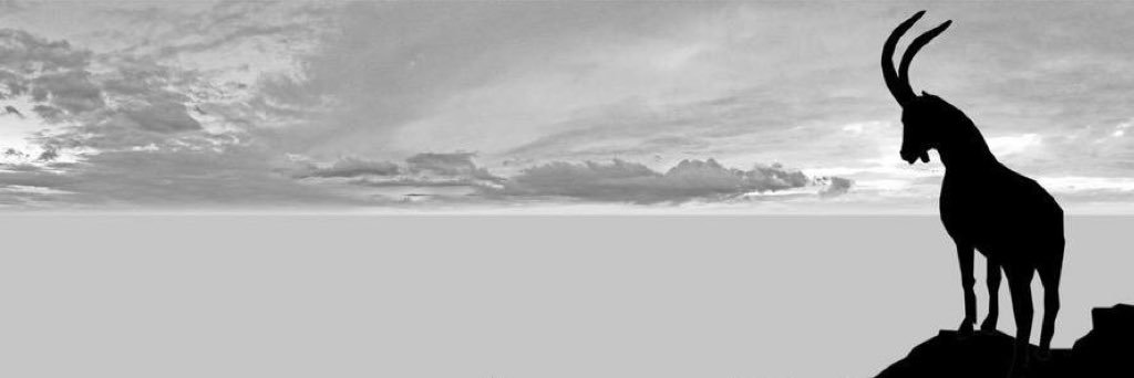 daniojen's profile banner image