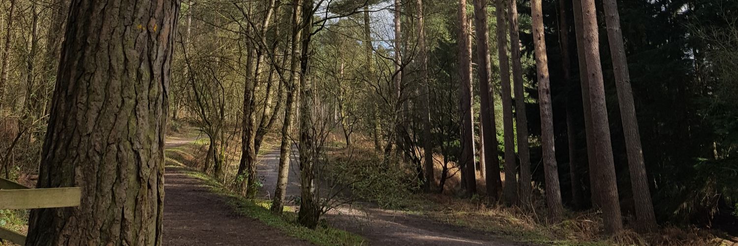 JaneRossiTV's profile banner image