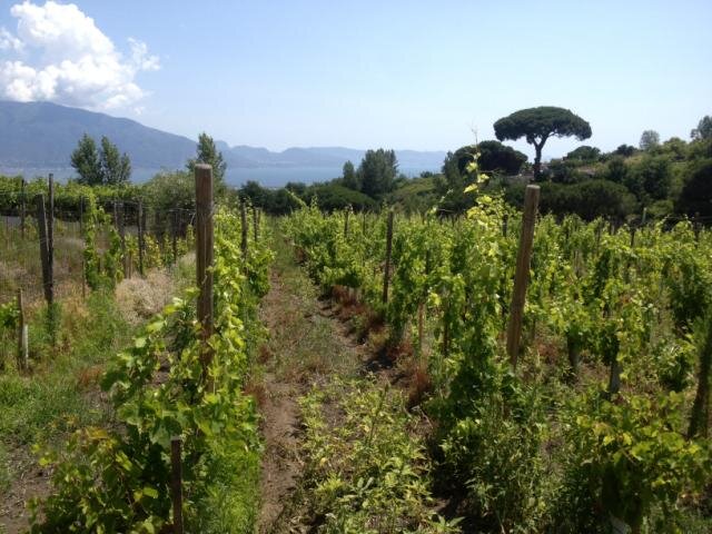 gentimorasso's profile banner image