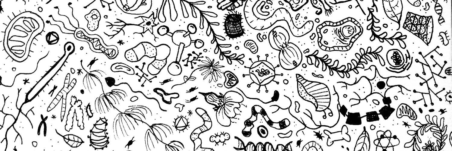 Cath_Friedman's profile banner image