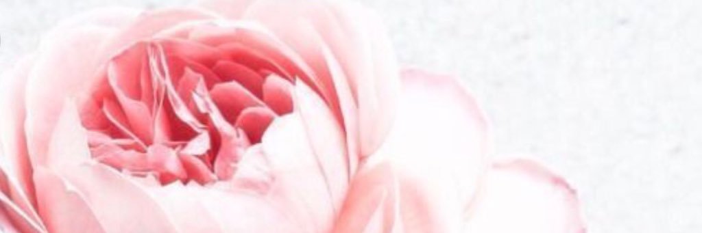 AlyssaProcopio's profile banner image