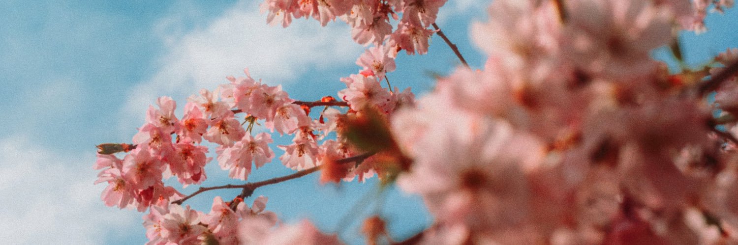 KidNamedAlexis's profile banner image