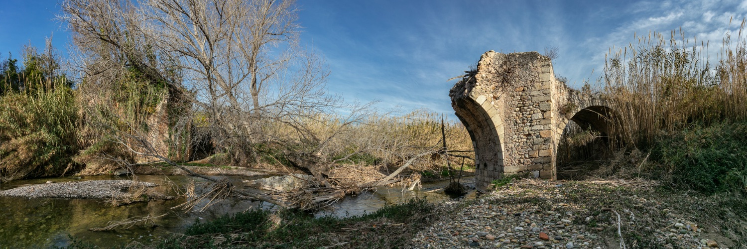 Rafael López-Monné banner
