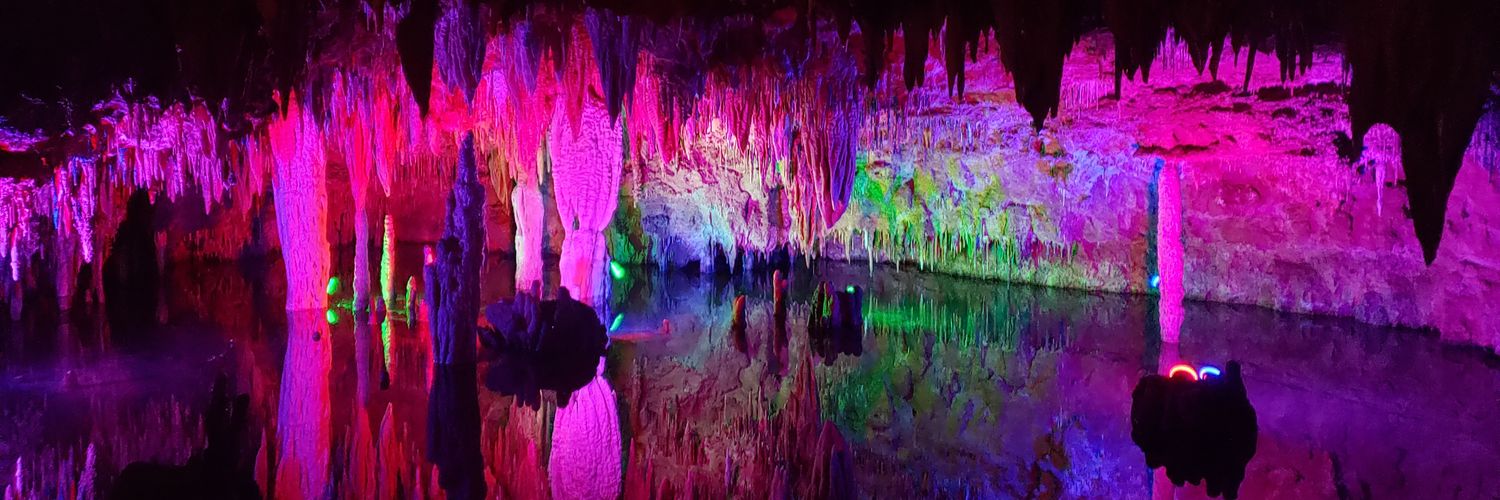 Stephanie Young banner