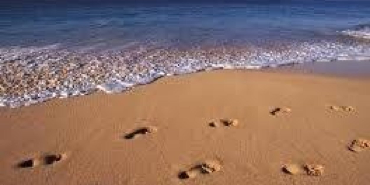 فيصل سعيد الزهراني banner