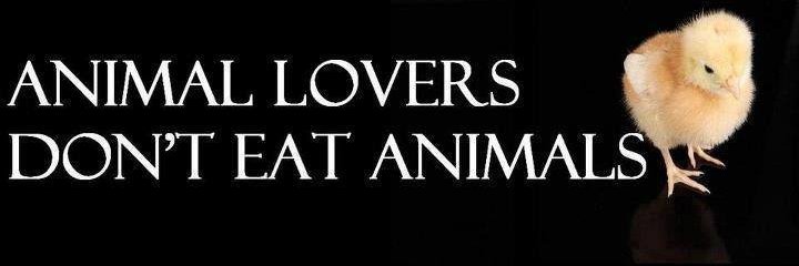 universalmushie's profile banner image