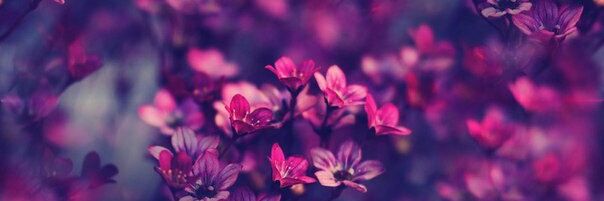 ashlyn_baileyy's profile banner image