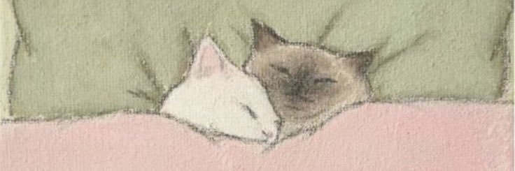 jijaz96's profile banner image