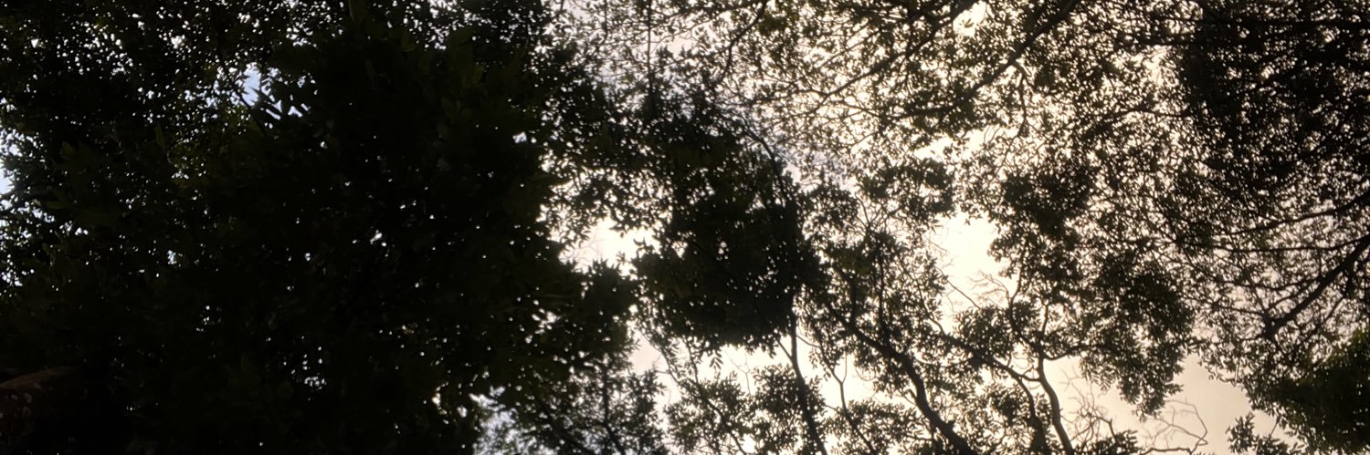 vaog_16's profile banner image