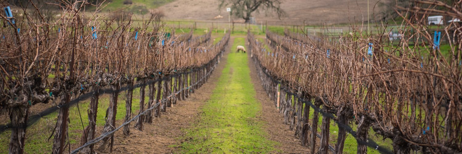 OsoLibreWinery's profile banner image