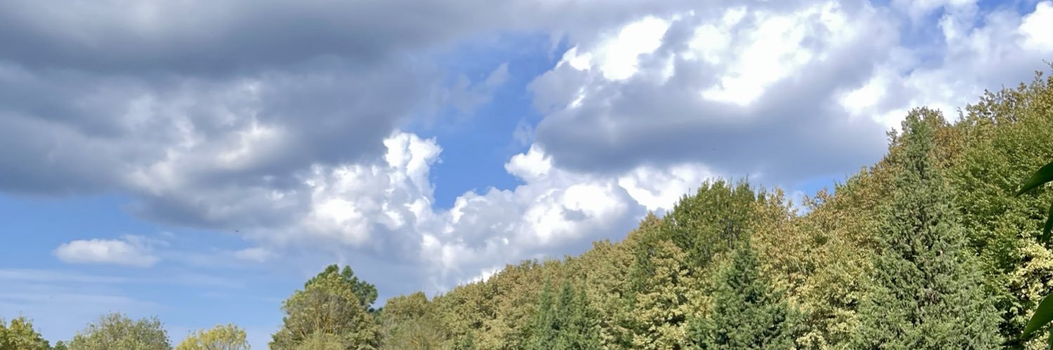 ezgiunal3's profile banner image