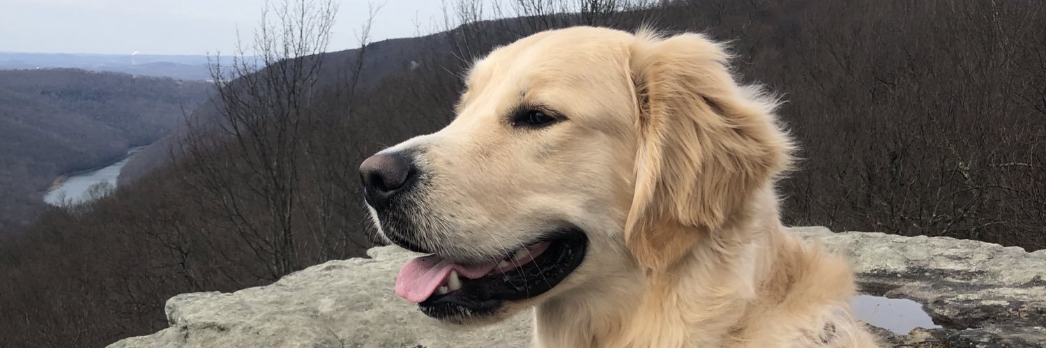 will_shultz's profile banner image