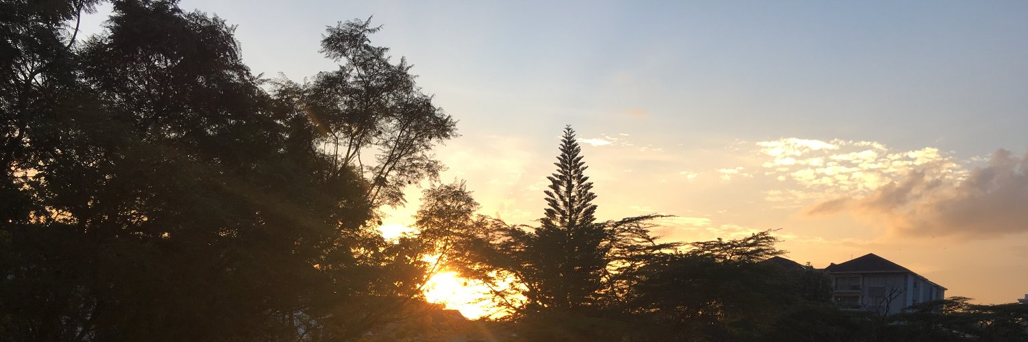 SocialBeryl's profile banner image