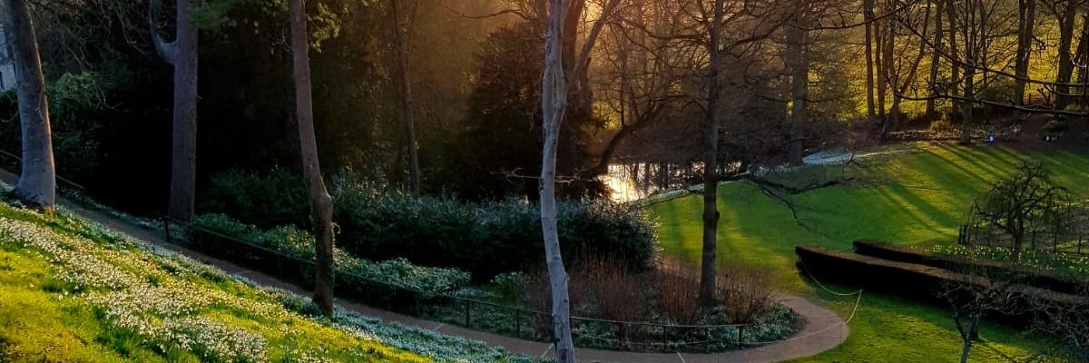 Alla Kholmatova banner