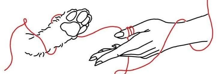 soyliiloo's profile banner image
