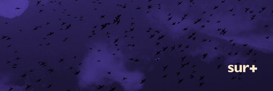 surpluseros's profile banner image