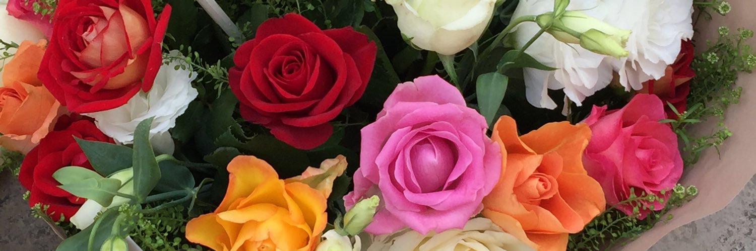 ginnyweir's profile banner image