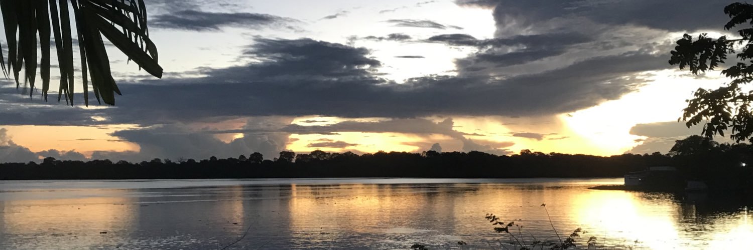 fernandesdeia's profile banner image