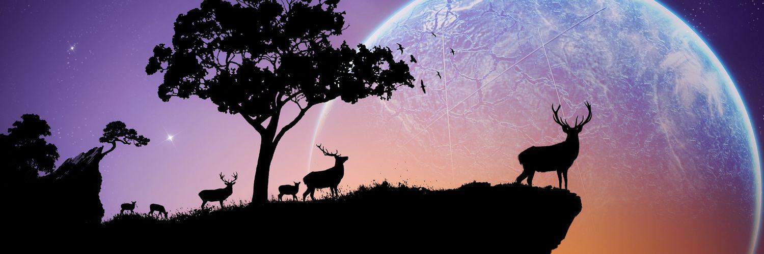 SolsticeQween's profile banner image