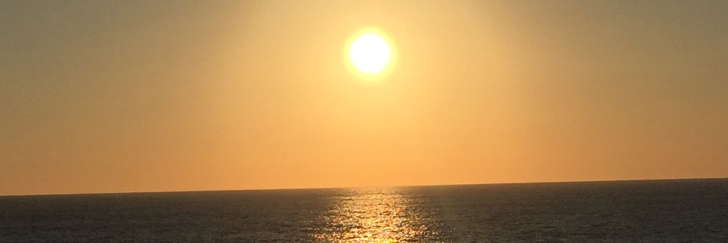 Michael Messina banner