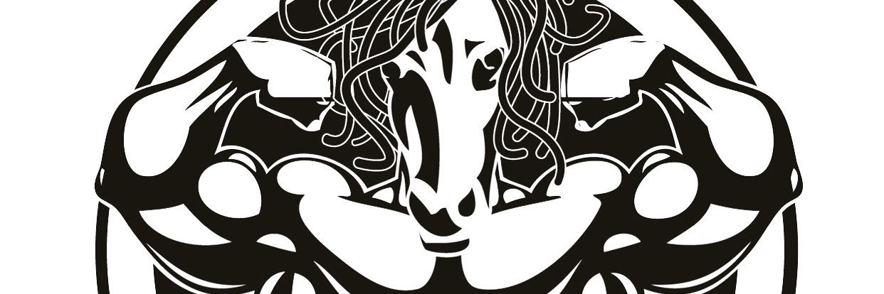 SmirfDaSigma's profile banner image