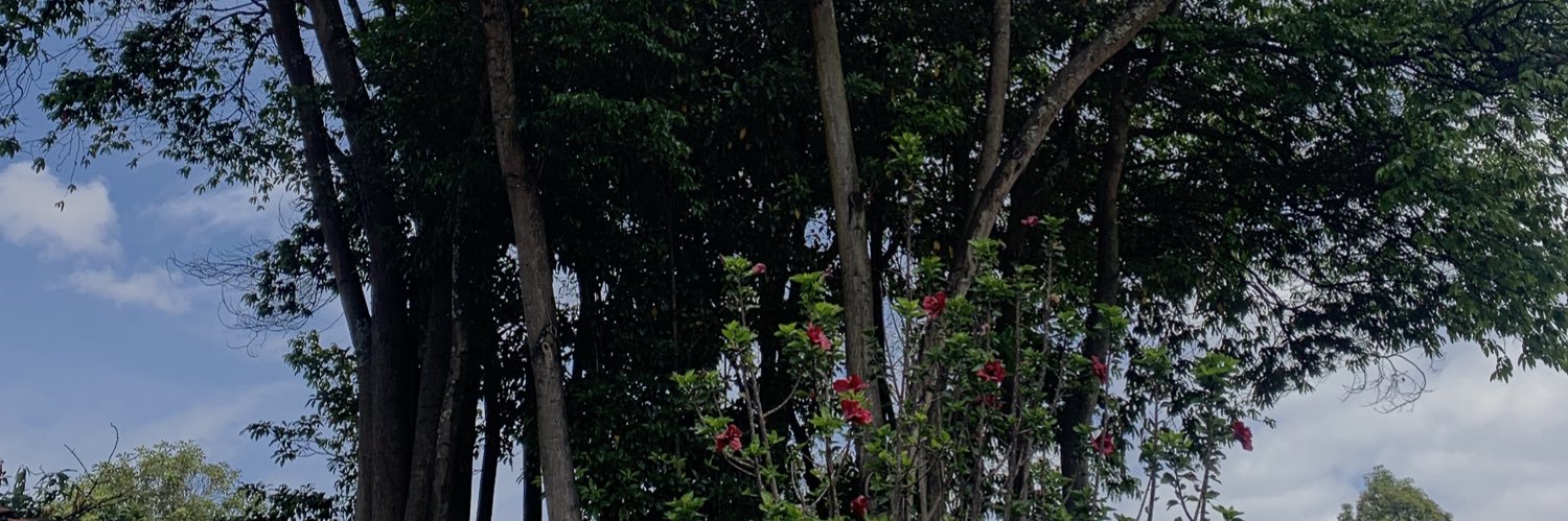 Akld1302's profile banner image