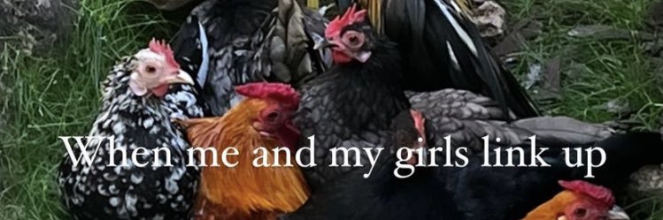 Evaaalove's profile banner image