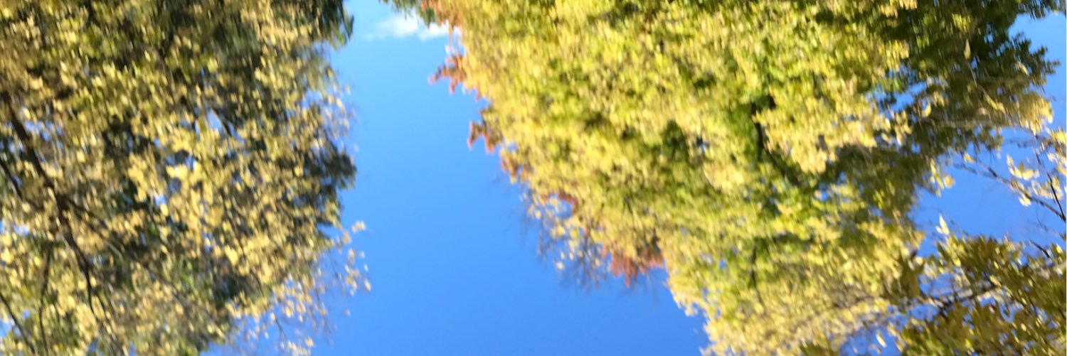 AntDuran101's profile banner image