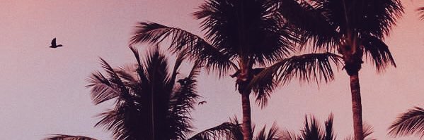 steeff150's profile banner image