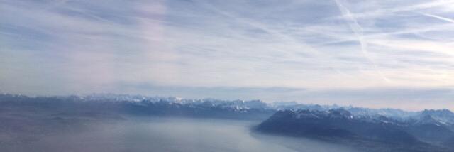 nz_tracey's profile banner image