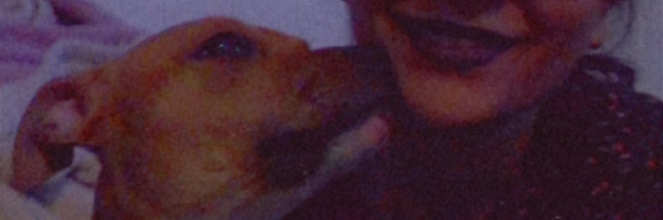 laliemalgachie's profile banner image