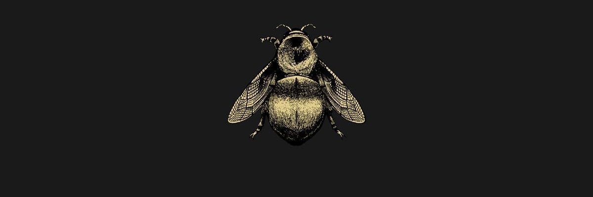 roovlie's profile banner image