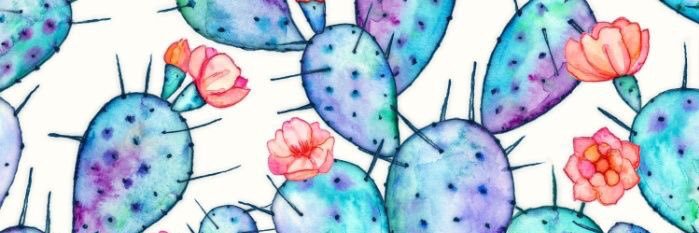 meg_greg_'s profile banner image