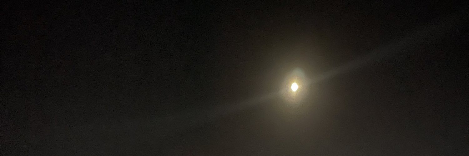elizvb3th's profile banner image