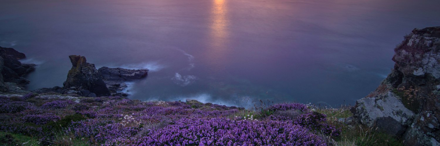 Katherine Kowalski banner