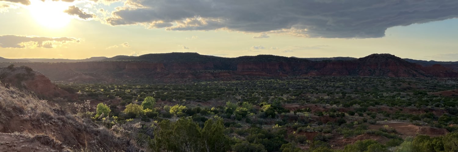 ChandlerThomson's profile banner image