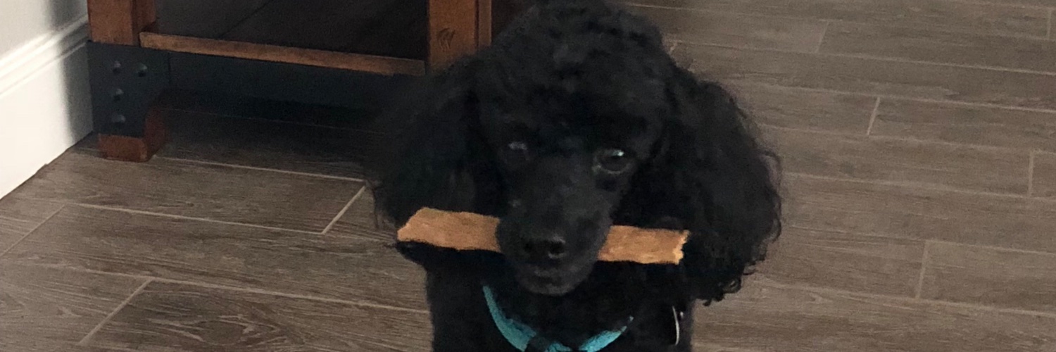 DfwRaceFan's profile banner image