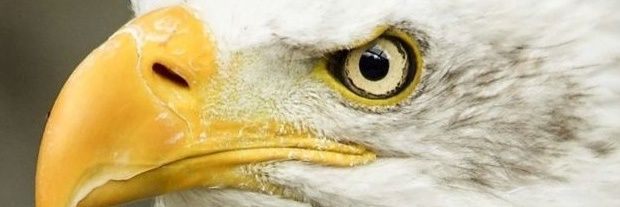 yegengil2's profile banner image